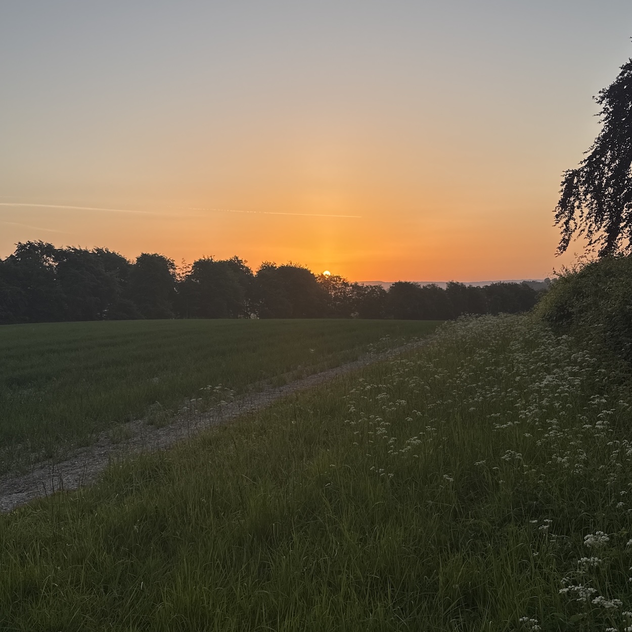 sunrise